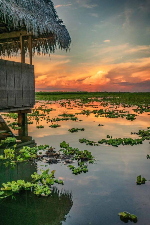 Libertad Jungle Lodge Yucuruche ภายนอก รูปภาพ