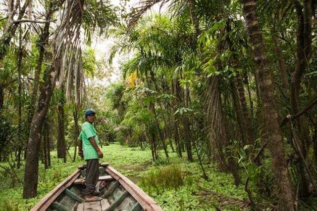 Libertad Jungle Lodge Yucuruche ภายนอก รูปภาพ