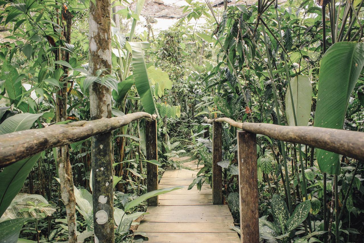 Libertad Jungle Lodge Yucuruche ภายนอก รูปภาพ