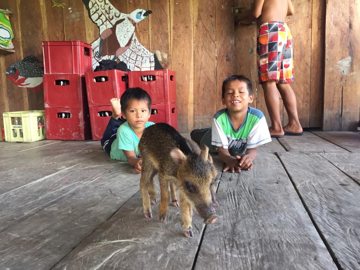 Libertad Jungle Lodge Yucuruche ภายนอก รูปภาพ